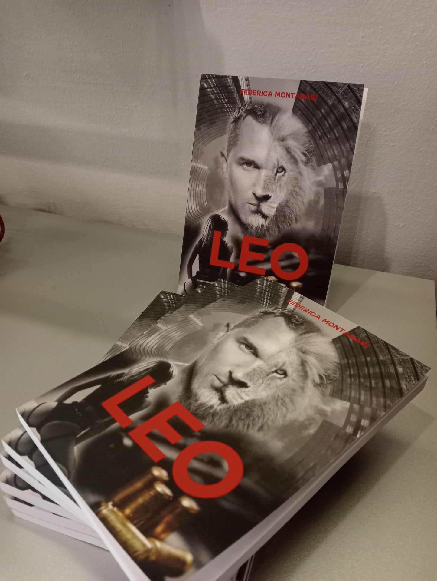 Romanzo - Leo